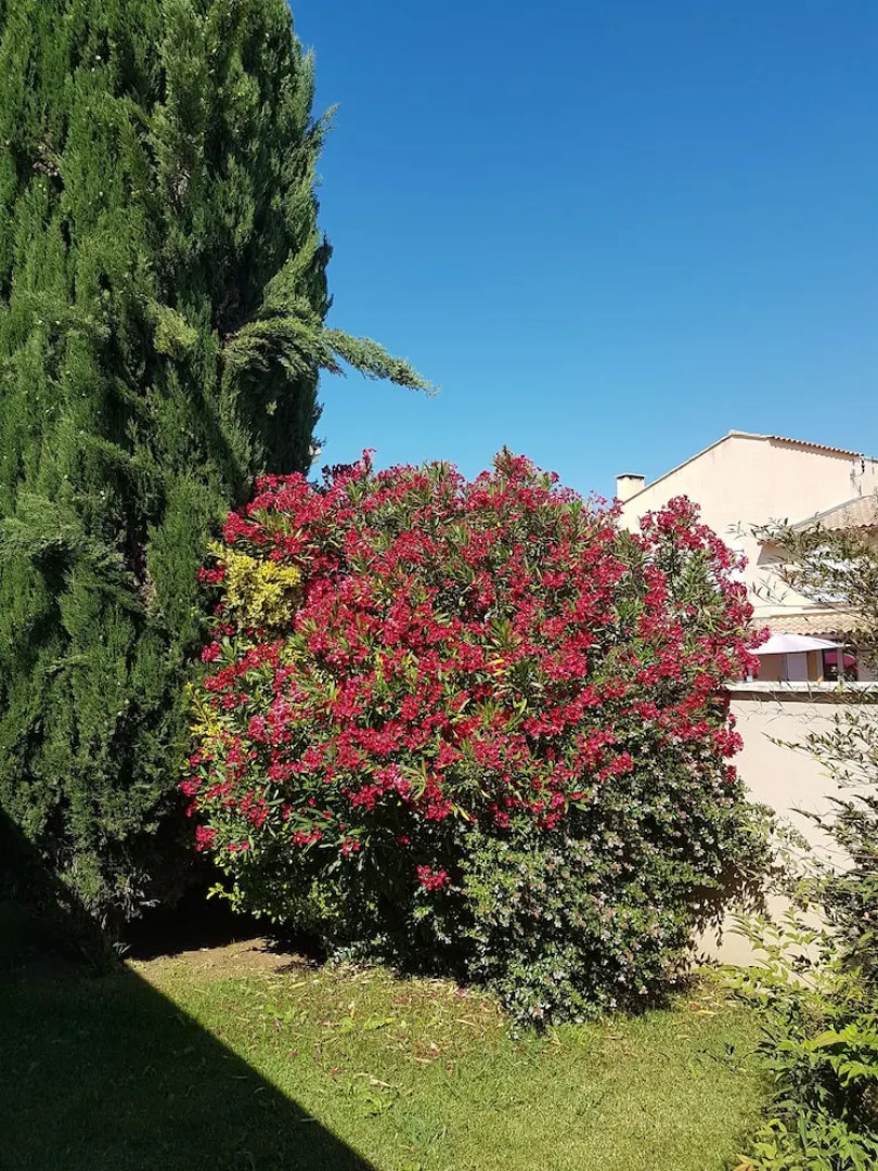 Chambre d'hôtes Mauguio