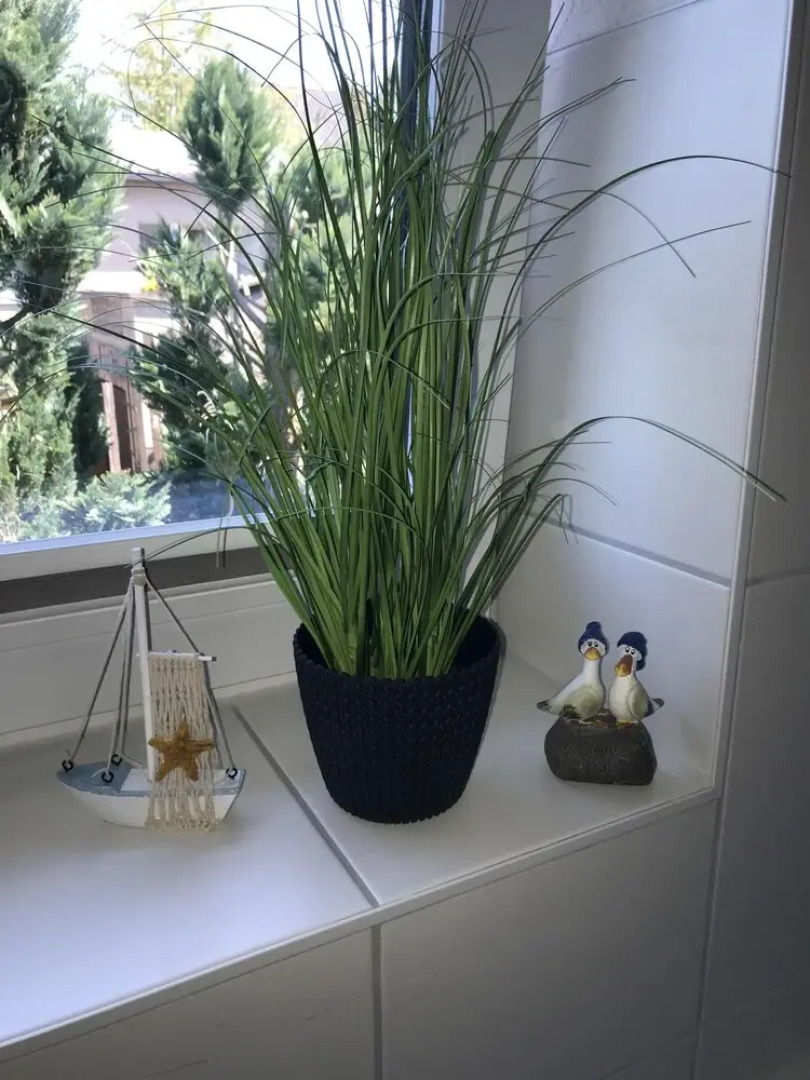 Ferienhaus an der Ostsee