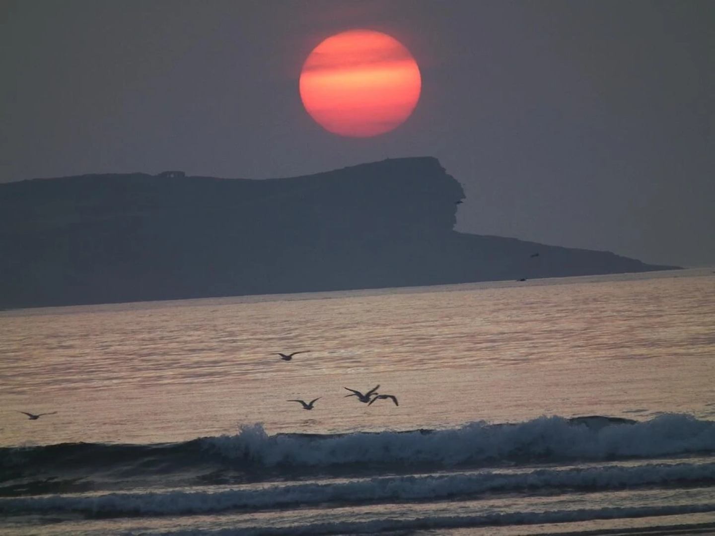 Hotel Estrella del Alemar