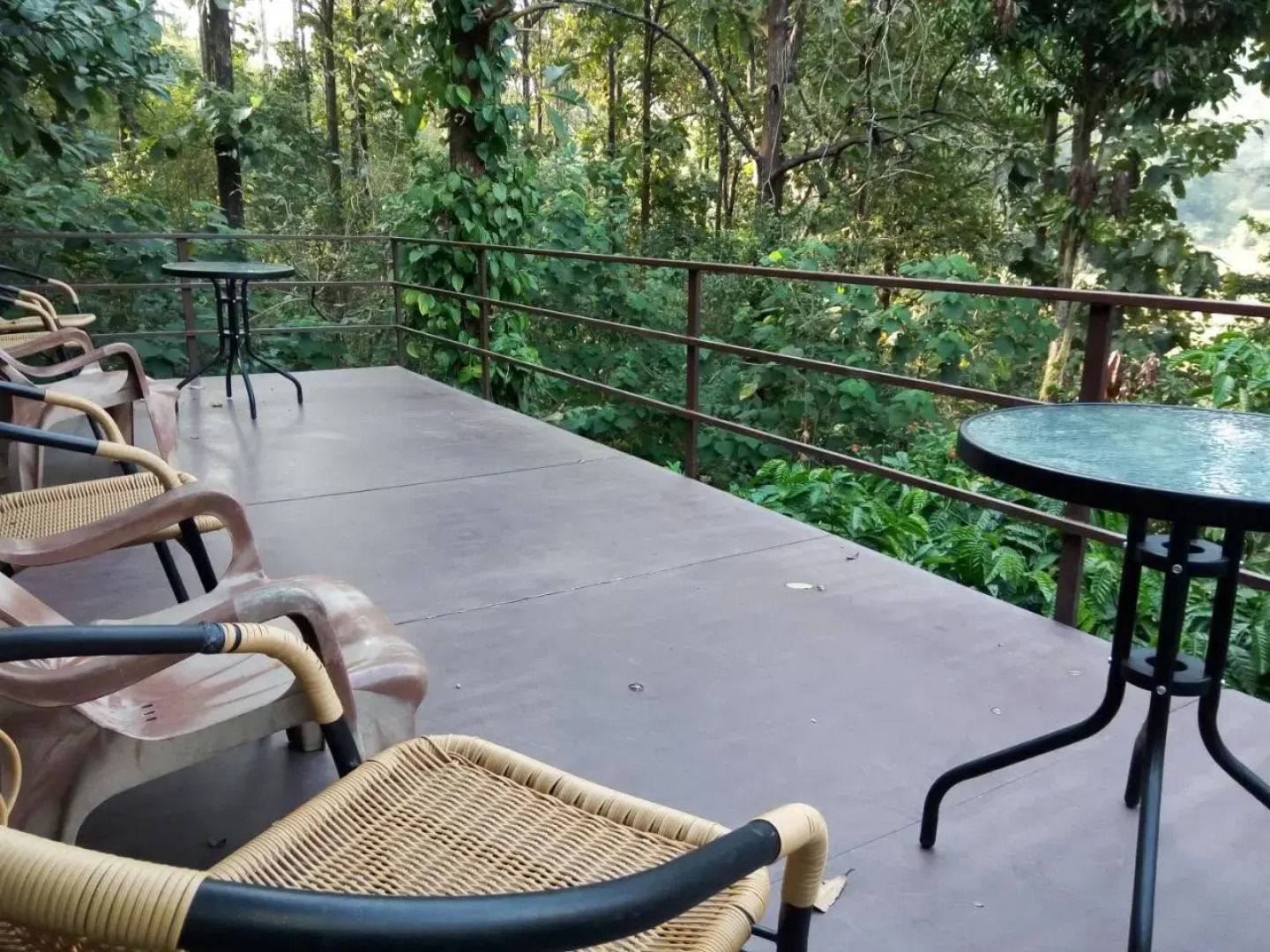 Jungle Retreat Wayanad