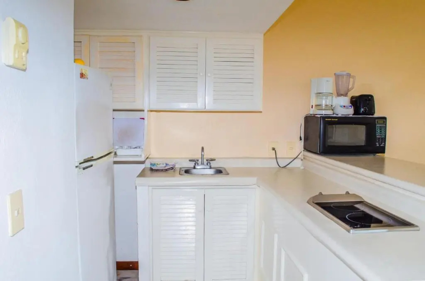 ENNA INN IXTAPA DEPARTAMENTO 01 RECAMARA ViSTA MAR