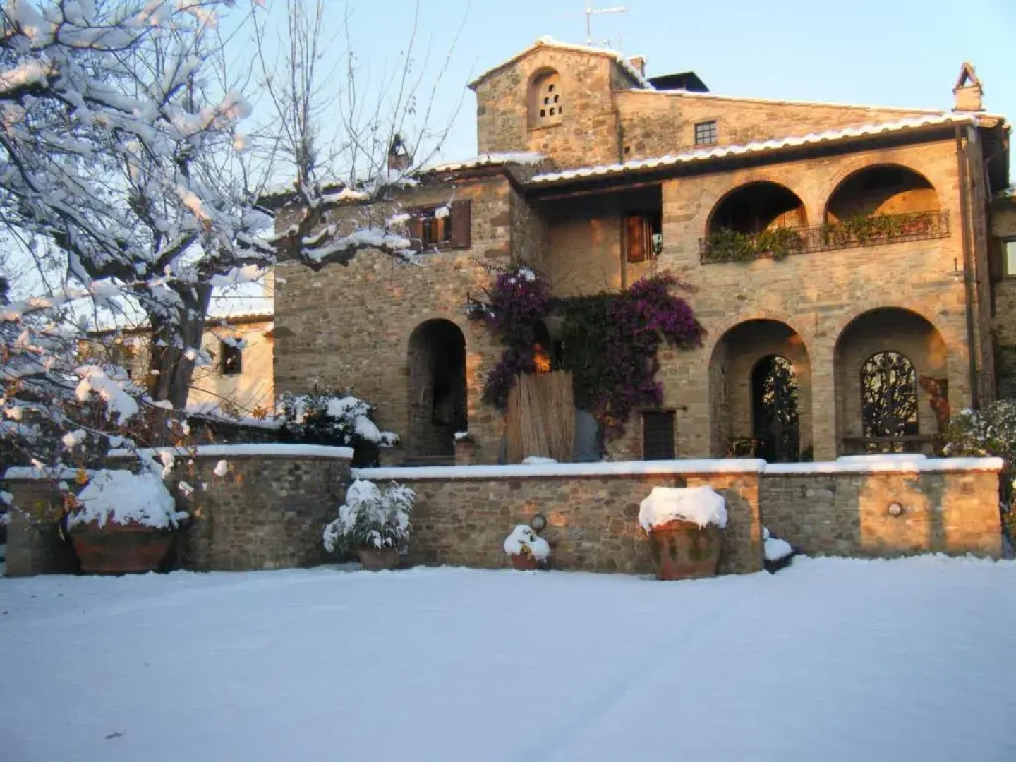 Fattoria Pogni