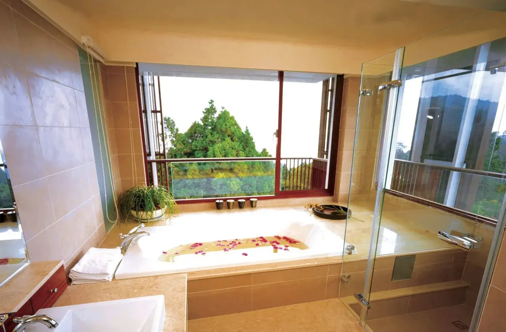 Alishan House - The Historical House