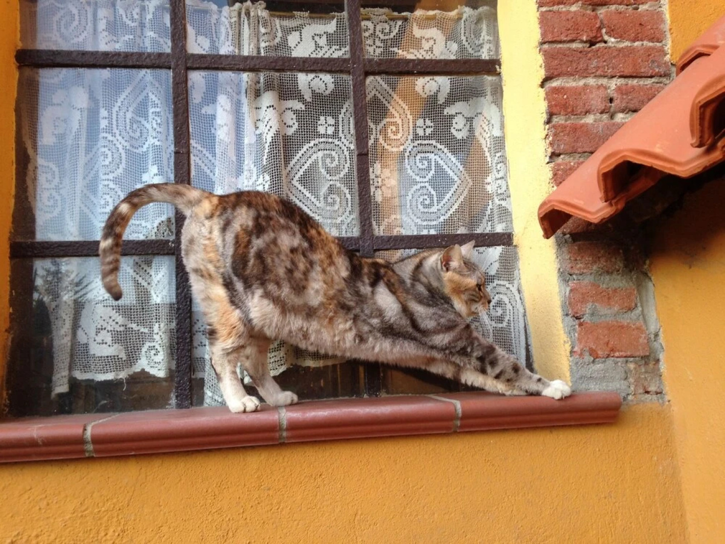 Agriturismo Cascina Argentera