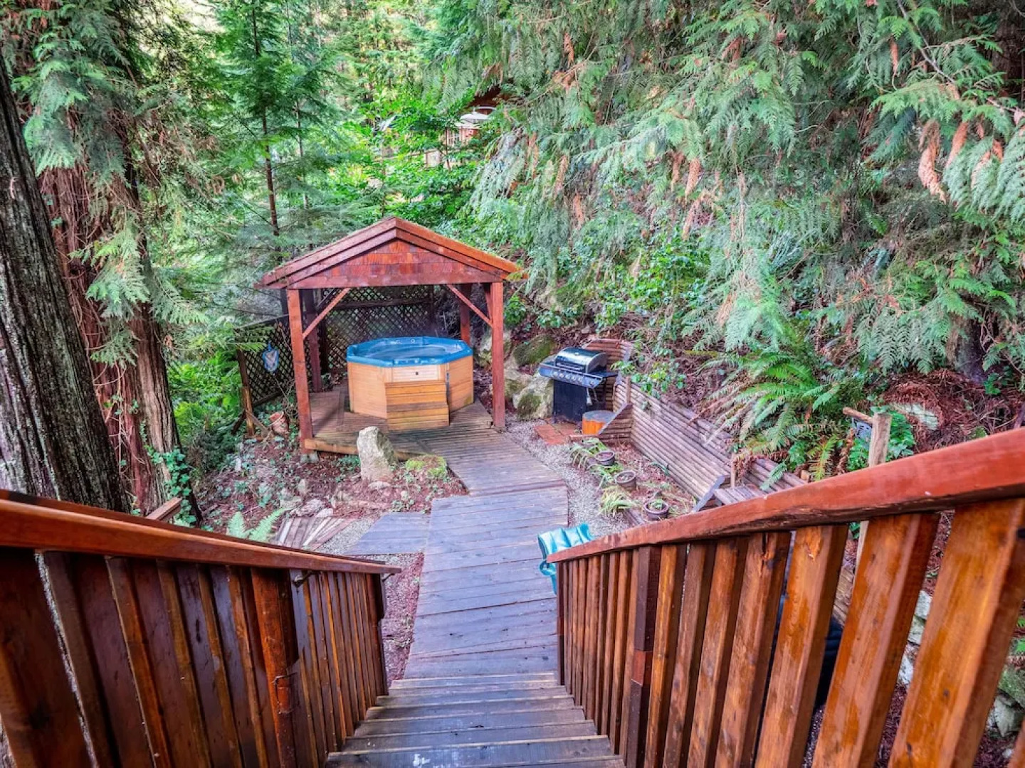 The Tree House Cottage