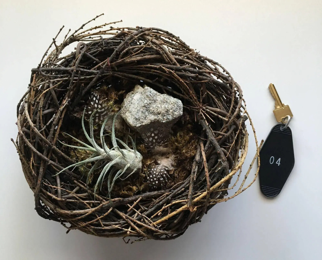 The Amigo Motor Lodge