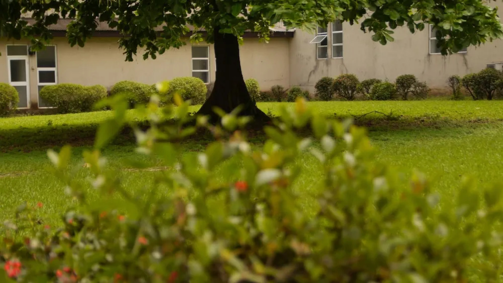 The Grant Suites Hotel