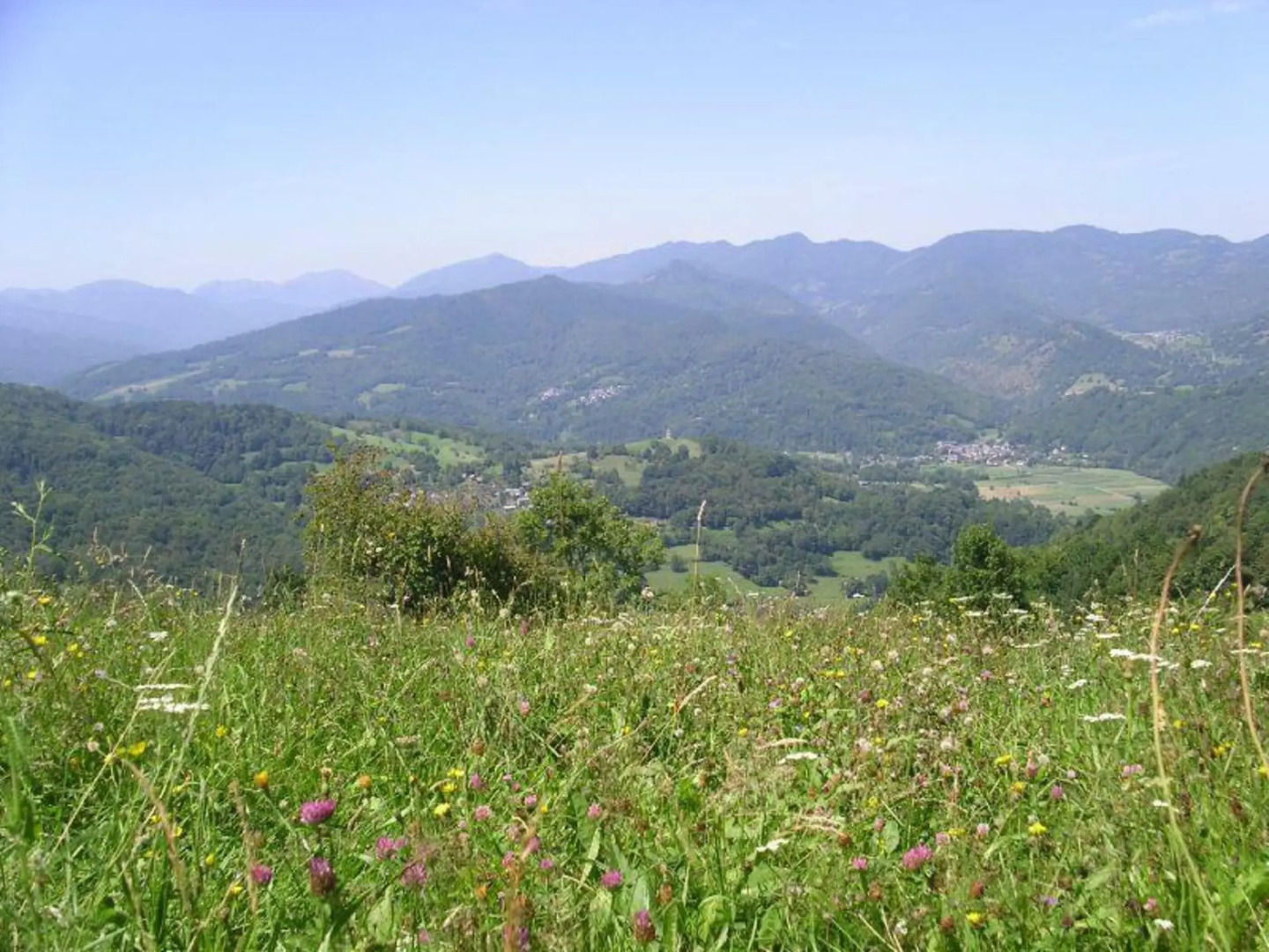 Au détour Du Larrech