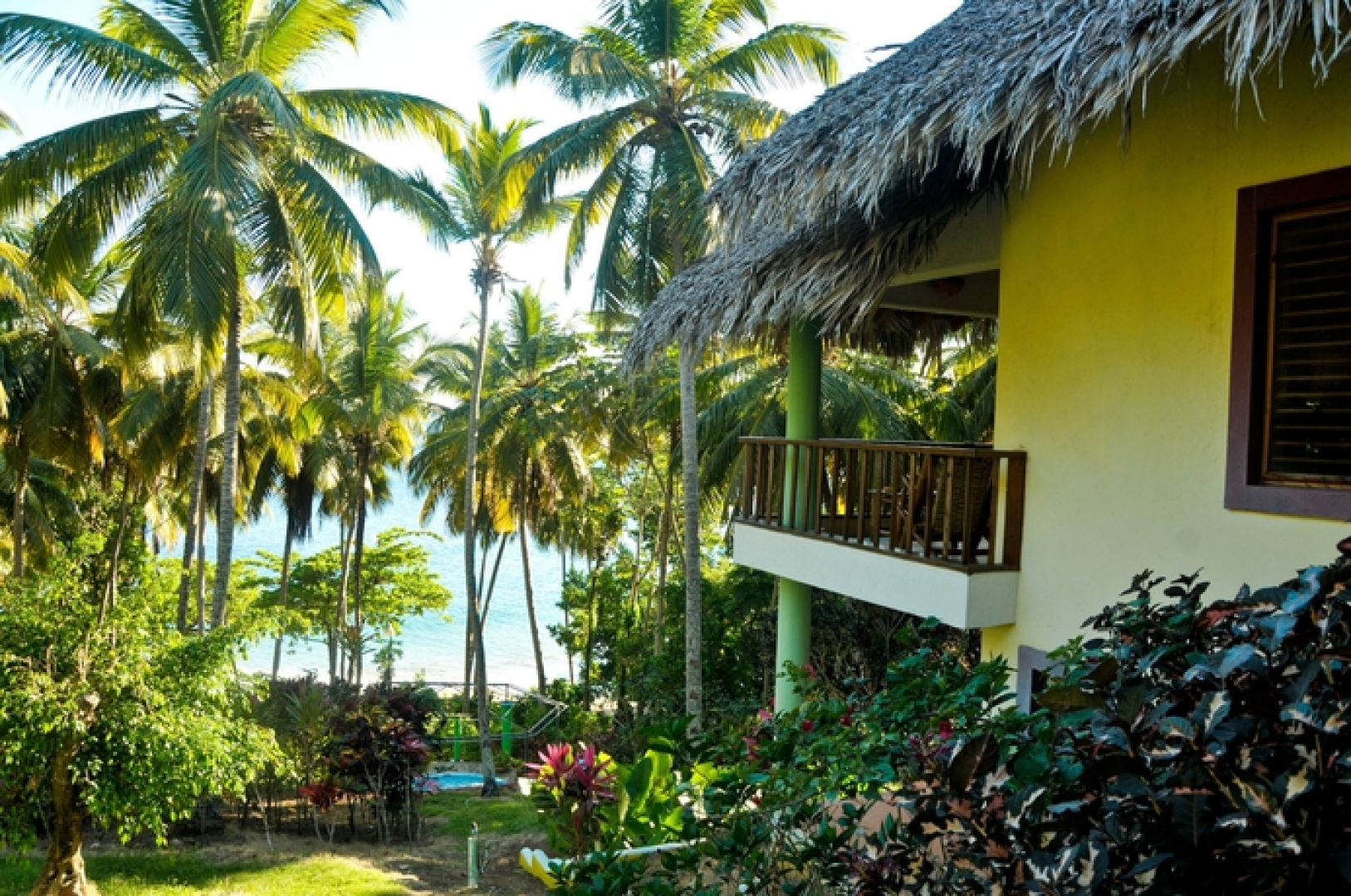 Las Ballenas Escondidas