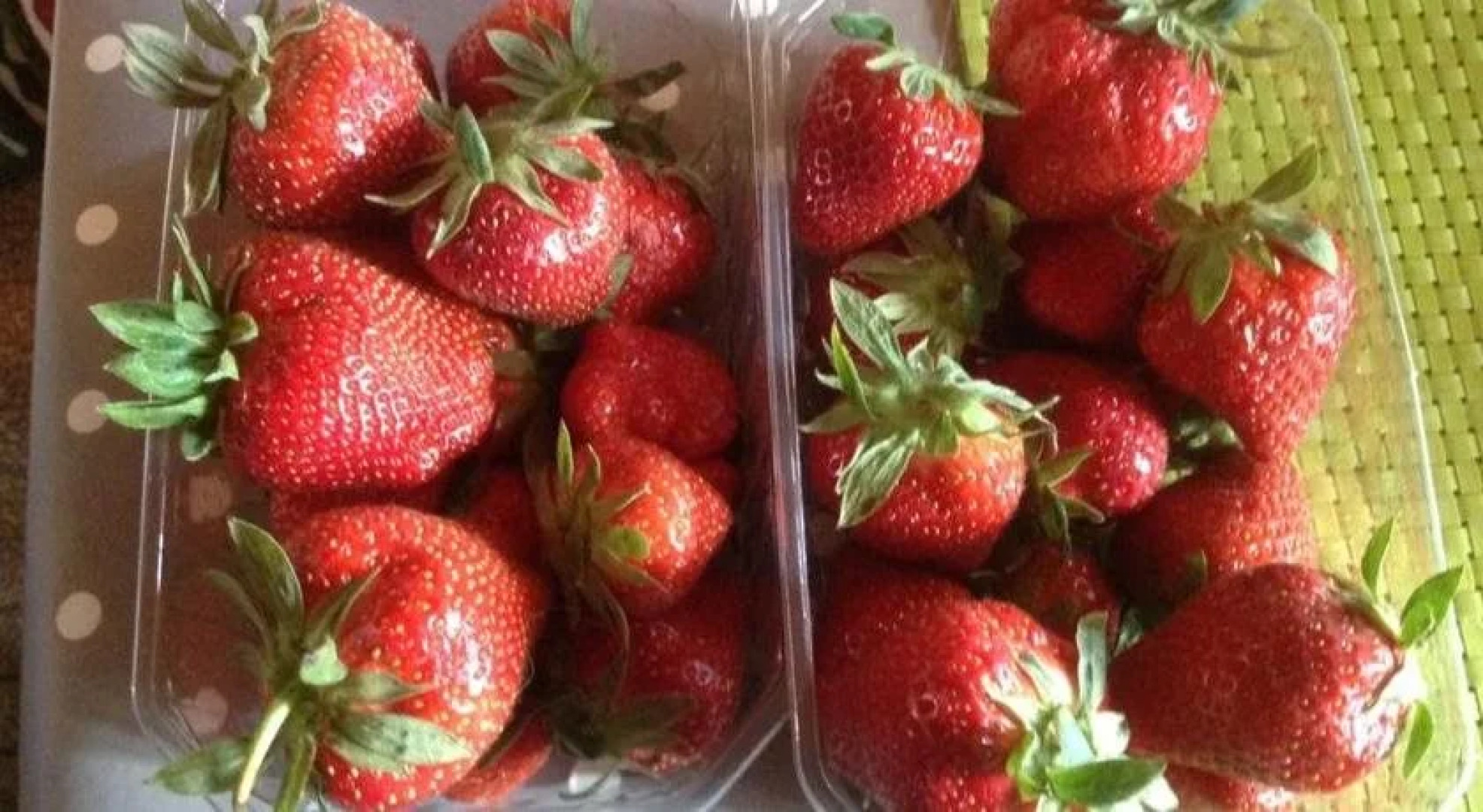 Le Grand Chemin de La Vie