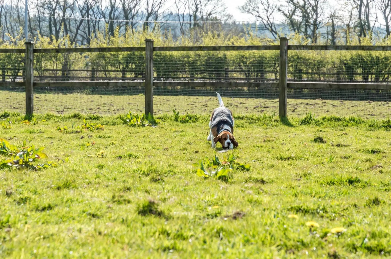 Primrose - 1 Bedroom Cottage - Llanteg