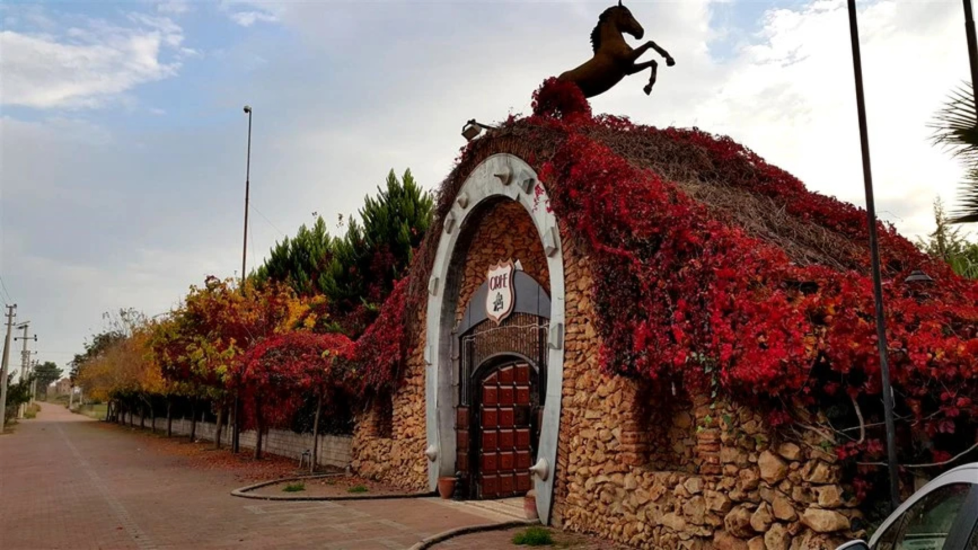 Orfe Atli Spor Kulübü