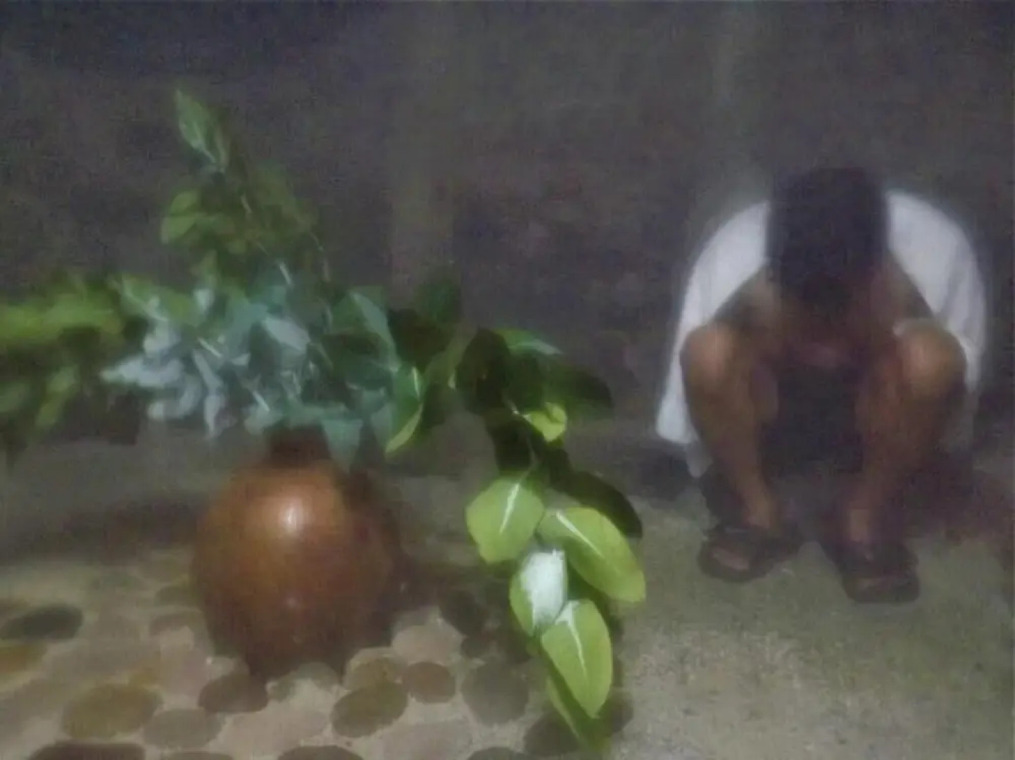 Caminantes del Valle of Sacred