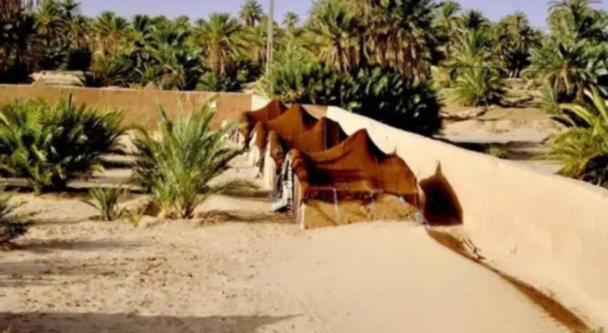 La Kasbah Des Sables Iaich