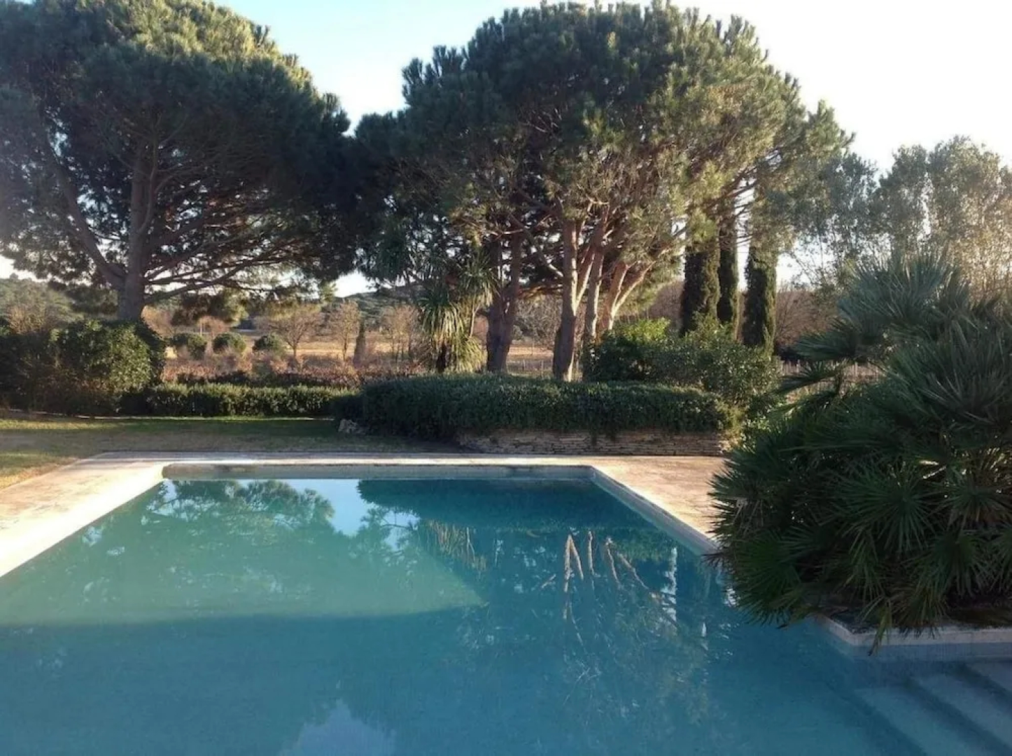 Wineyard Pampelonne