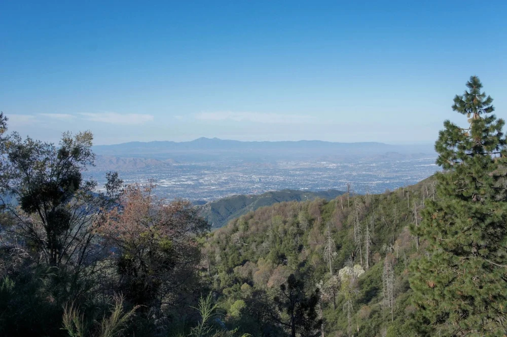 Secluded Home on 1-acre Lot w/ Unparalleled Views