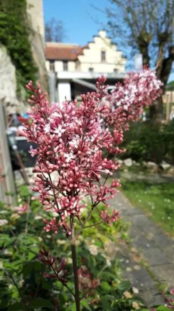 Saga Bed and Breakfast