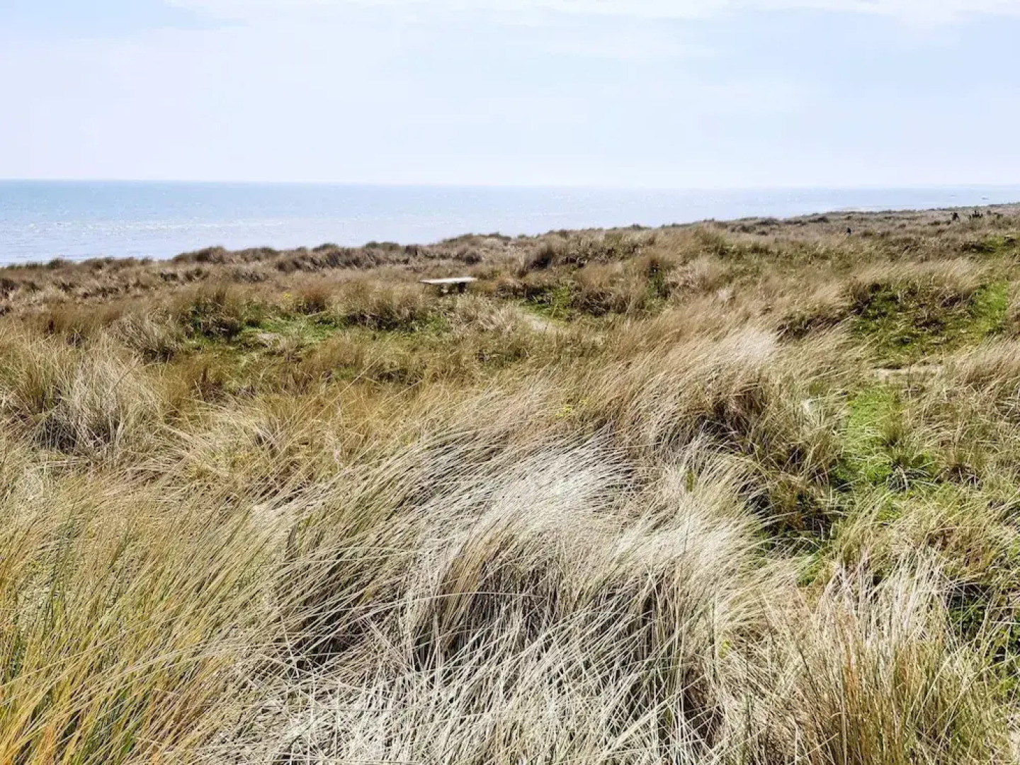 6 Person Holiday Home in Albaek-by Traum