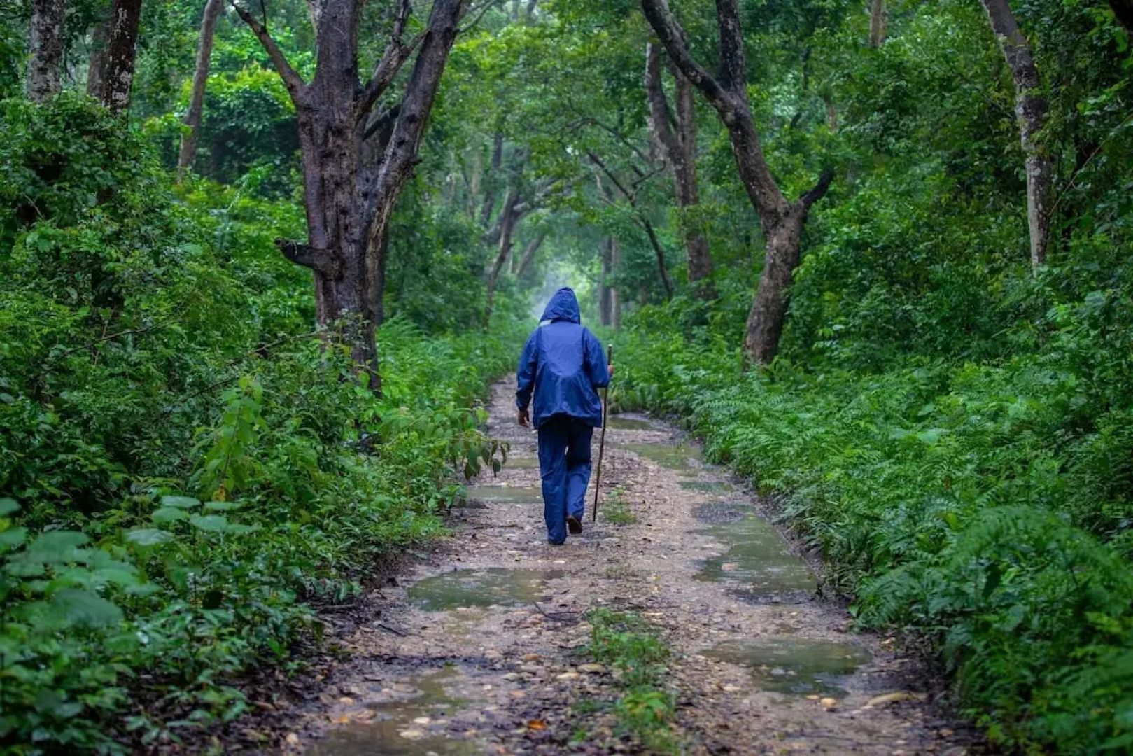 Samarth Bardia Adventure Resort