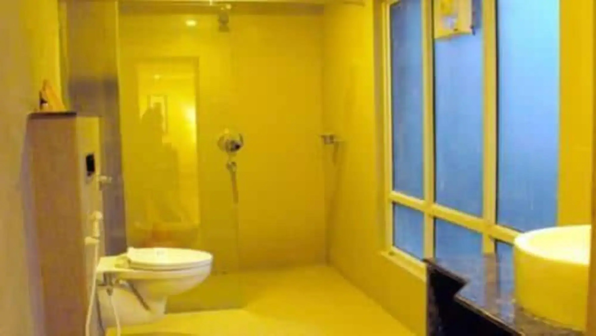 Hotel Nikhil Sai International