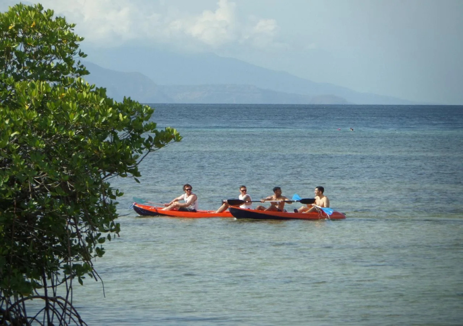 Mangrove Paradise Retreat