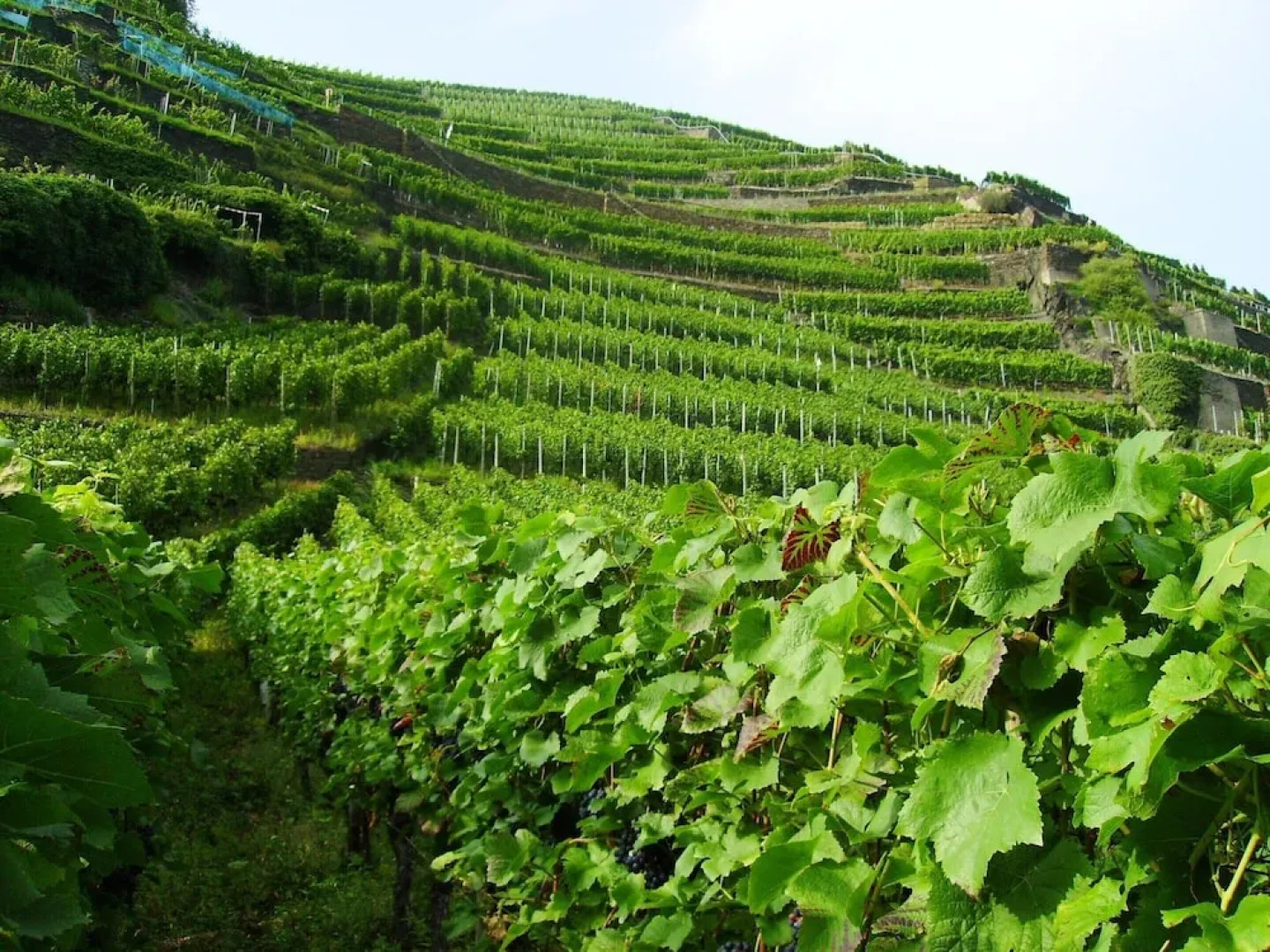 Beautiful Apartment in Morscheid-riedenburg