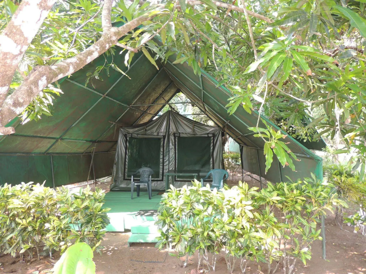 Corcovado Adventures Tent Camp
