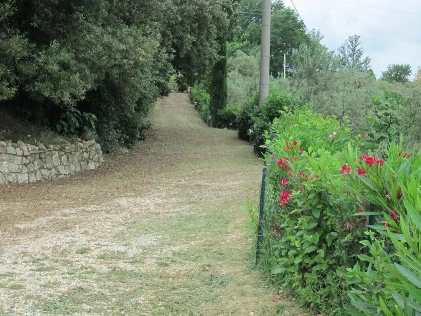 Agriturismo Il Colle
