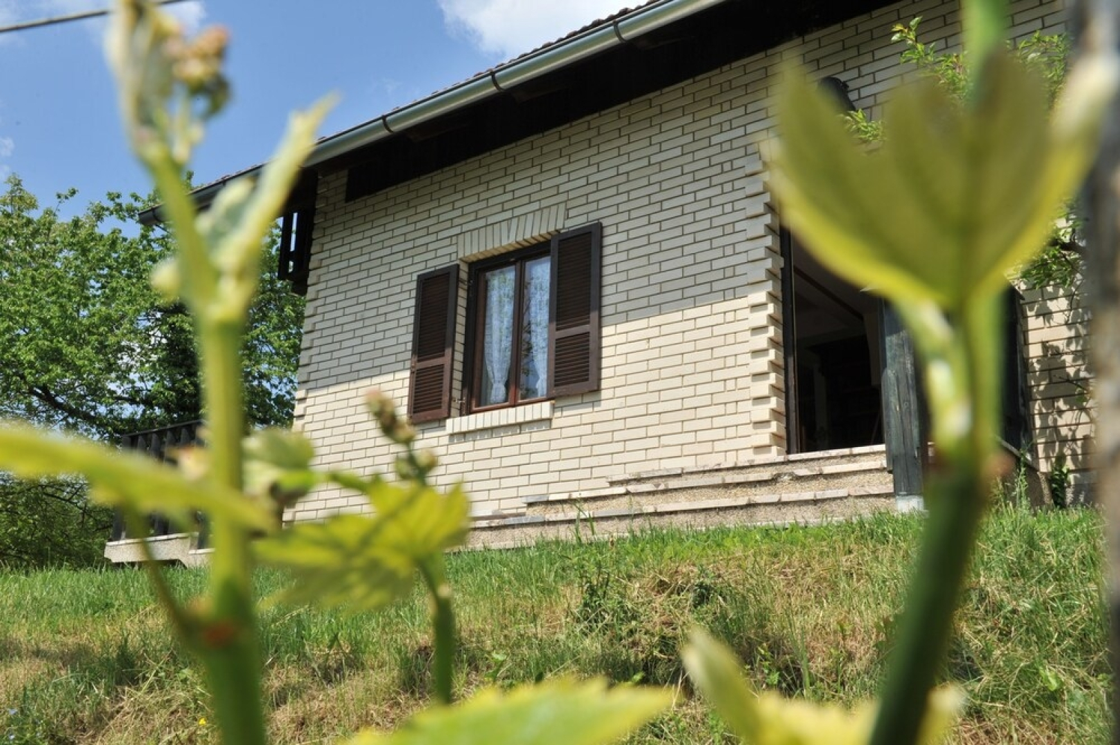 Vineyard cottage Vrbekova gorca
