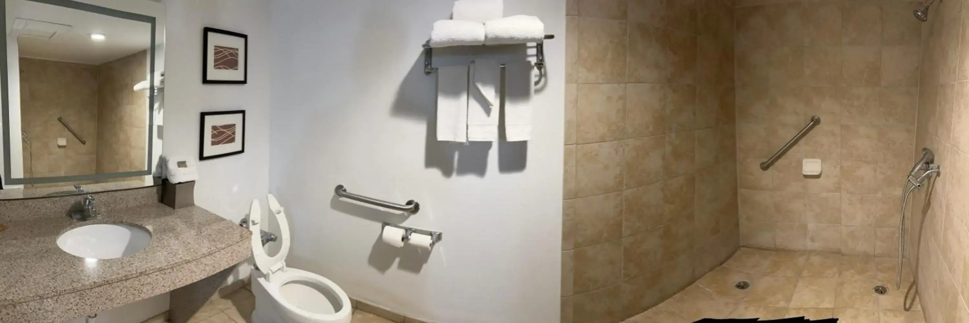 Country Inn & Suites By Radisson, Battle Creek, MI