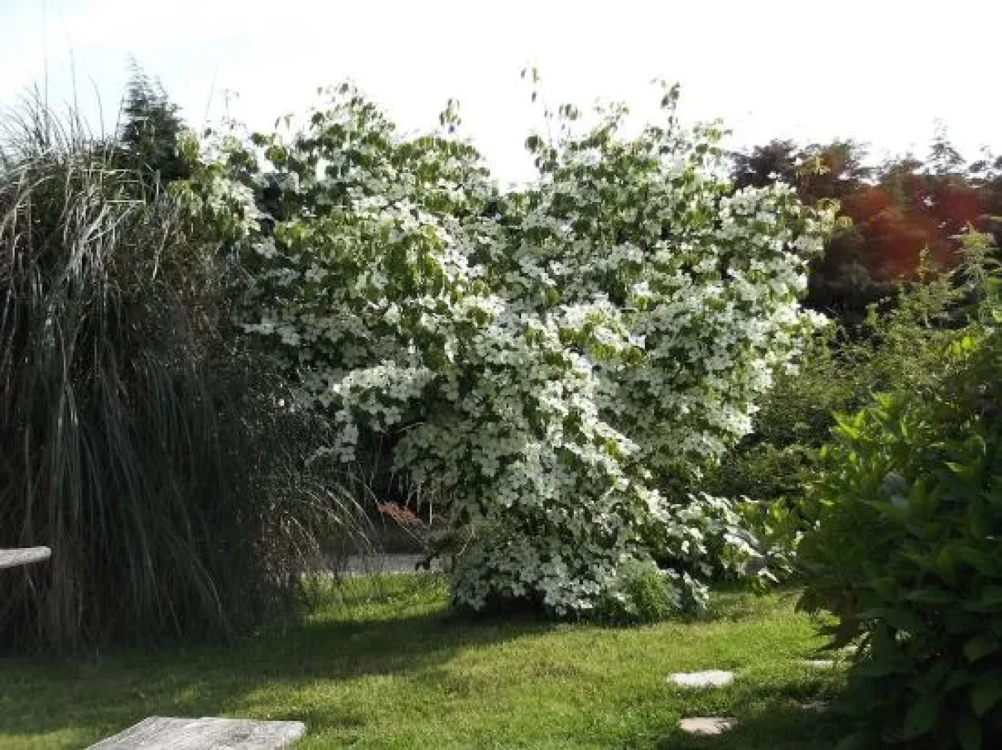 Chambre dHôtes Etretat