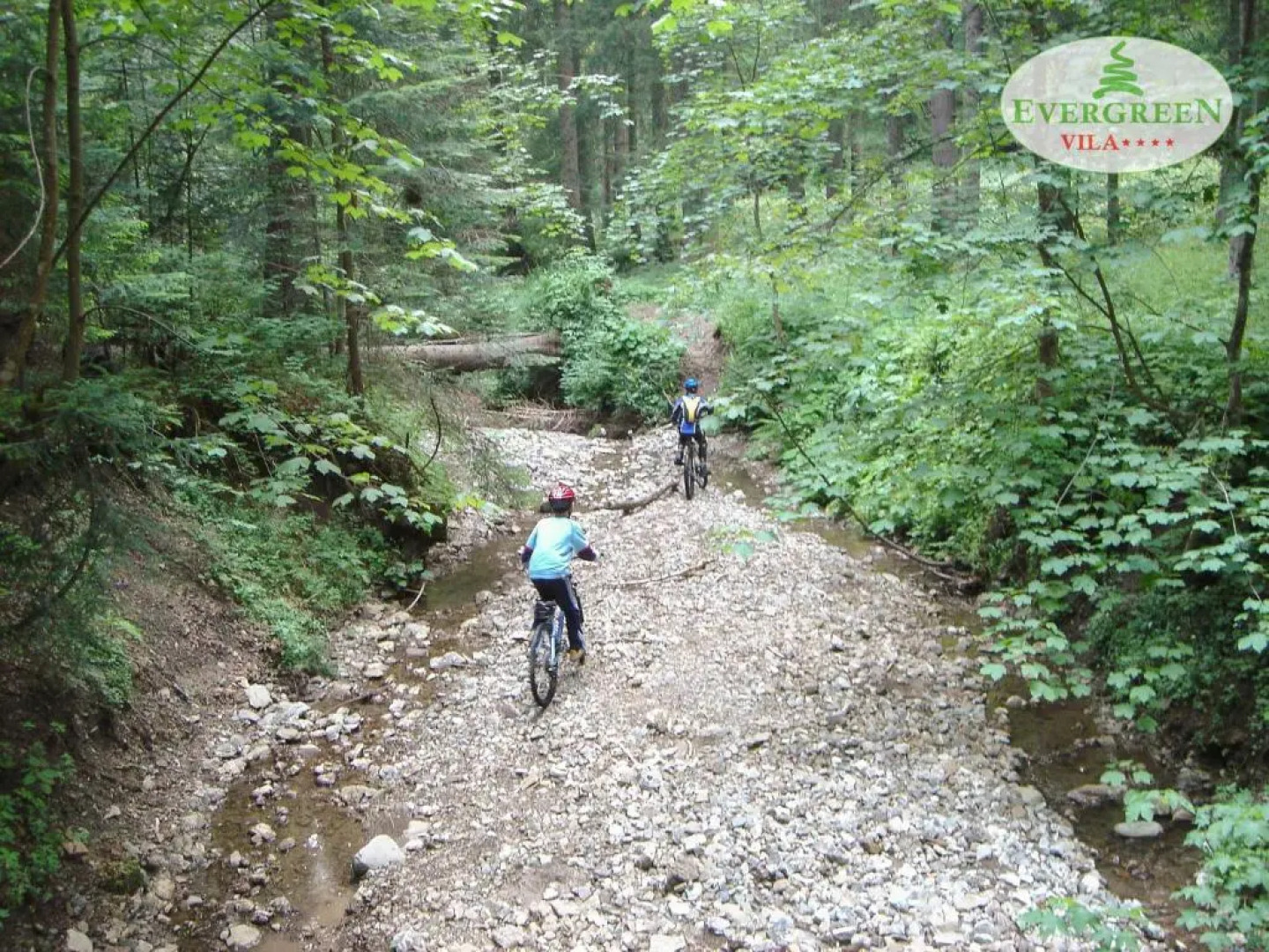 Vila Evergreen