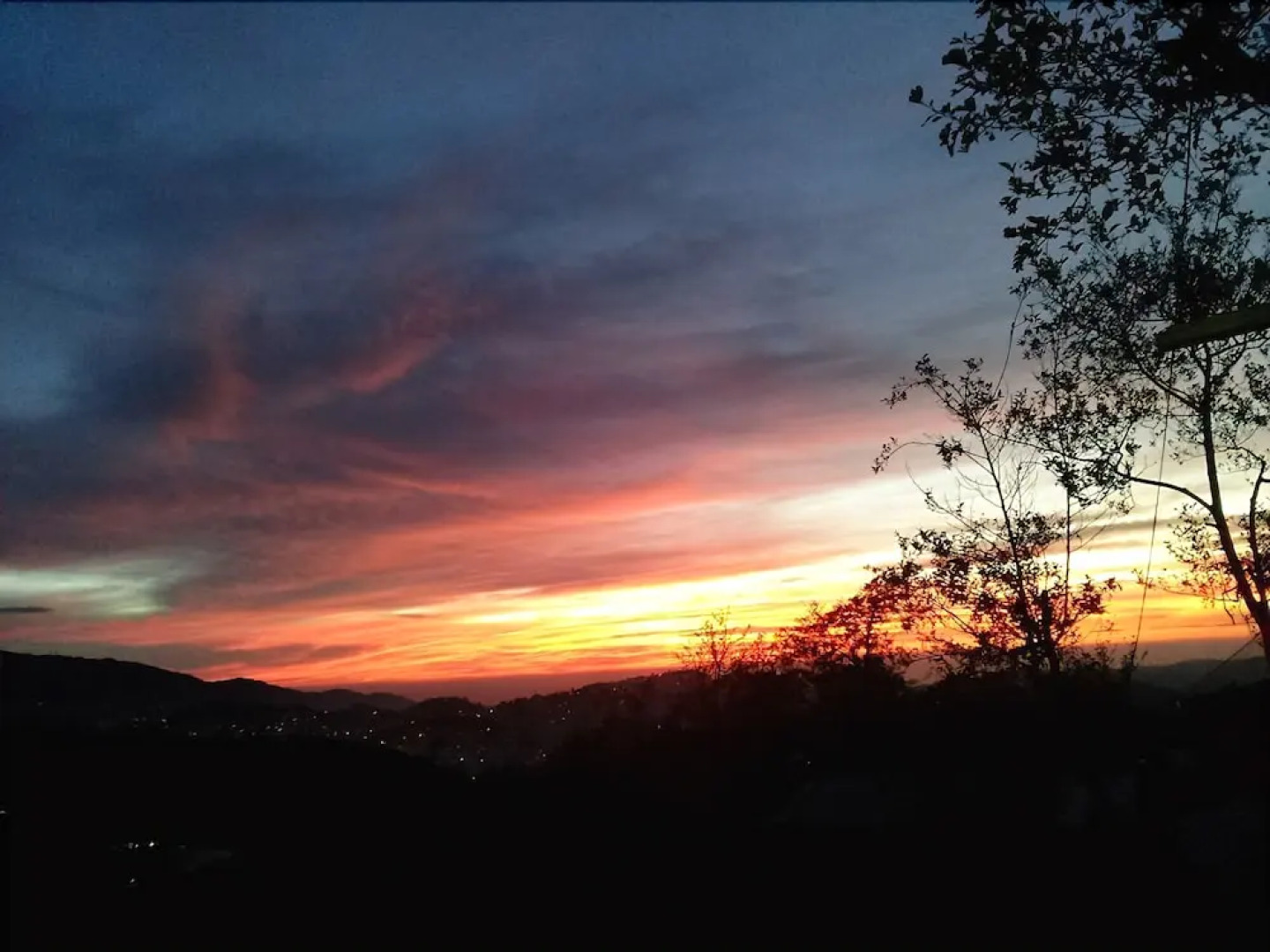 Tribuhaus Backpackers Inn