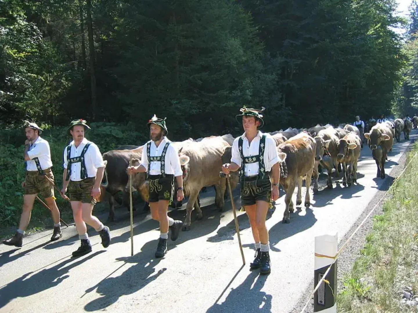 2 in Alpenrosle Modern Retreat