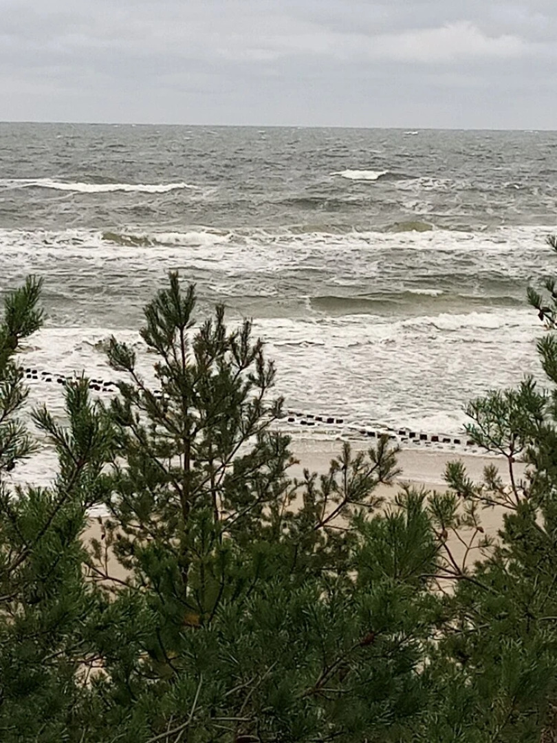 Rogowo Pearl Apartments by Renters