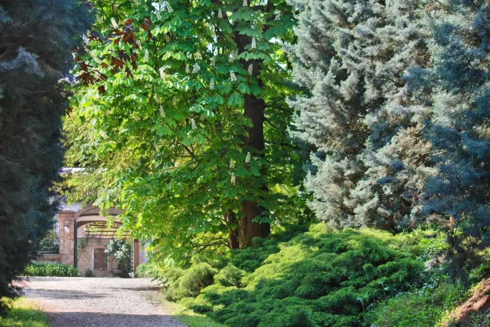 Agriturismo Terensano