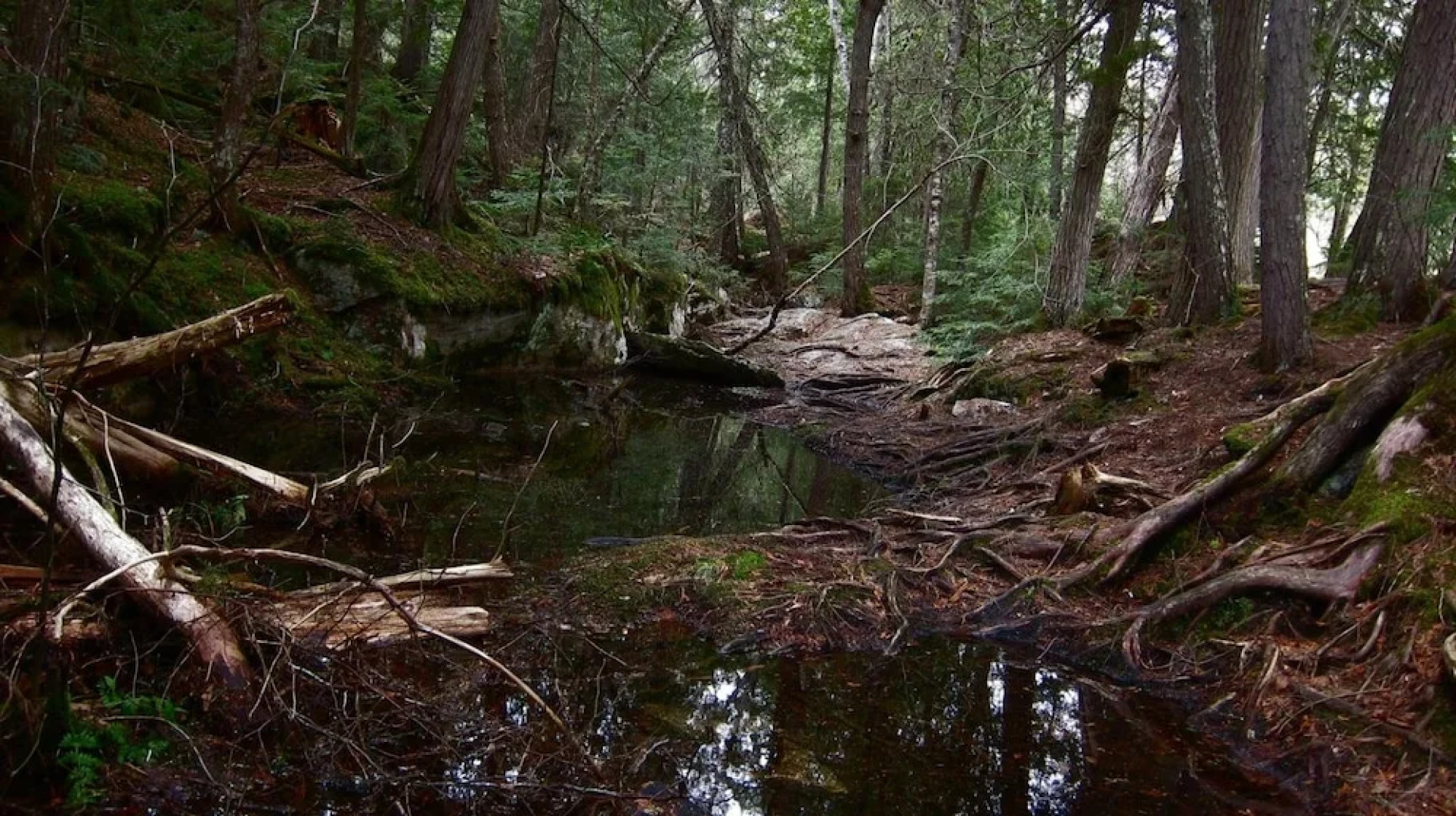 The Arlington Hotel - Hostel