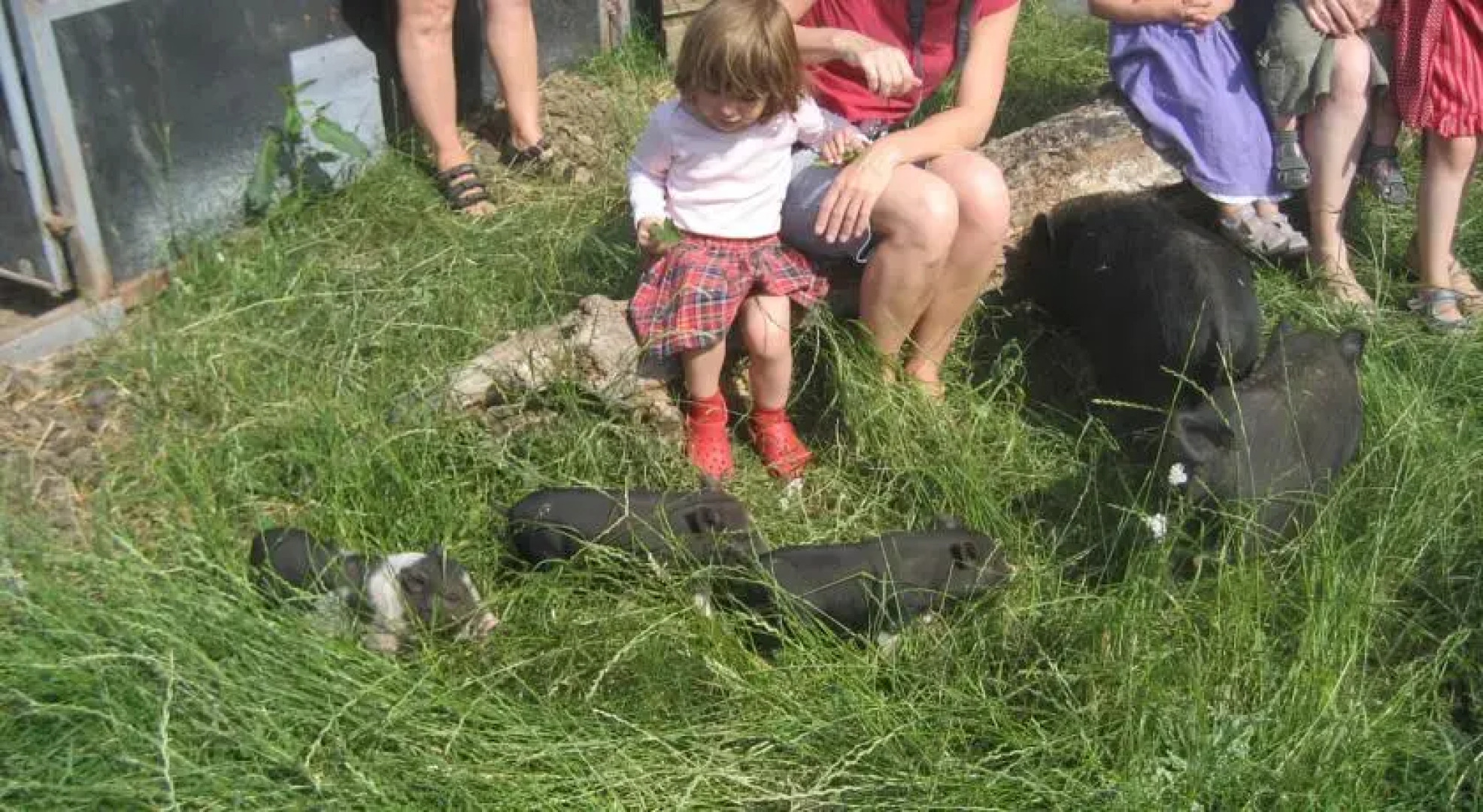 Fuglsang Farm Holiday