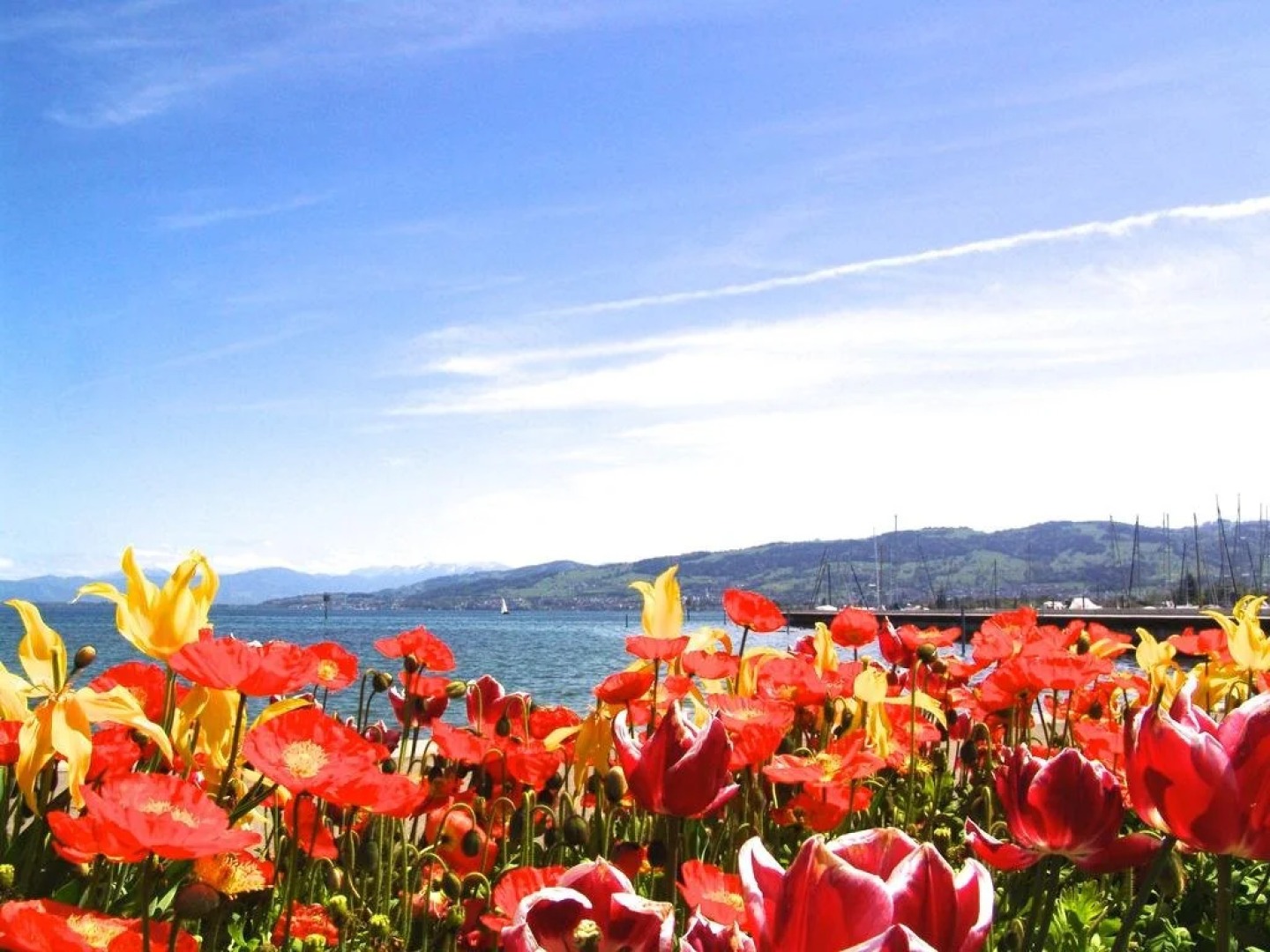 Bedhub - Swisslodge Arbon