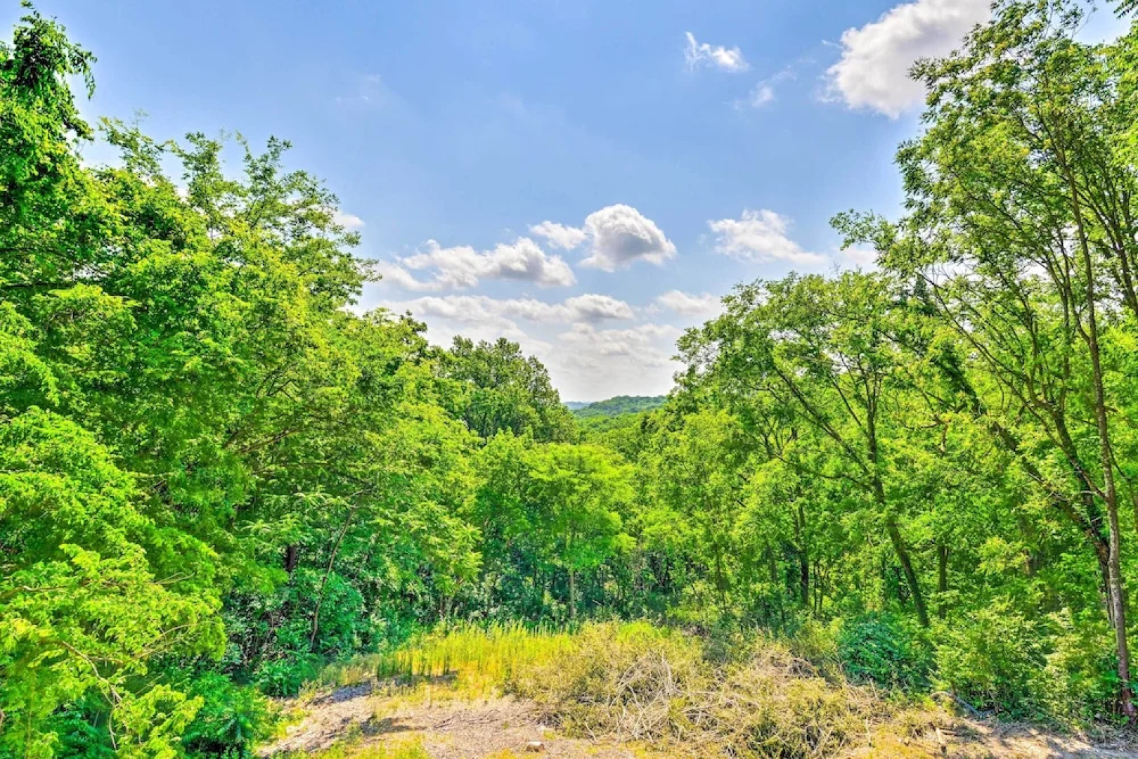 Stylish Franklin Cabin on 6 Private Acres!