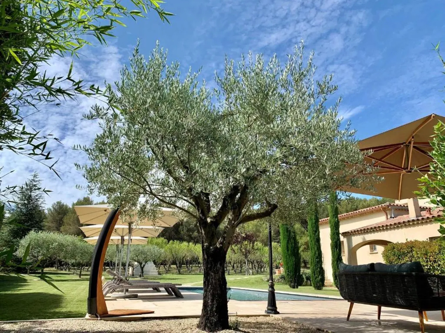 Le Jardin des Amandiers