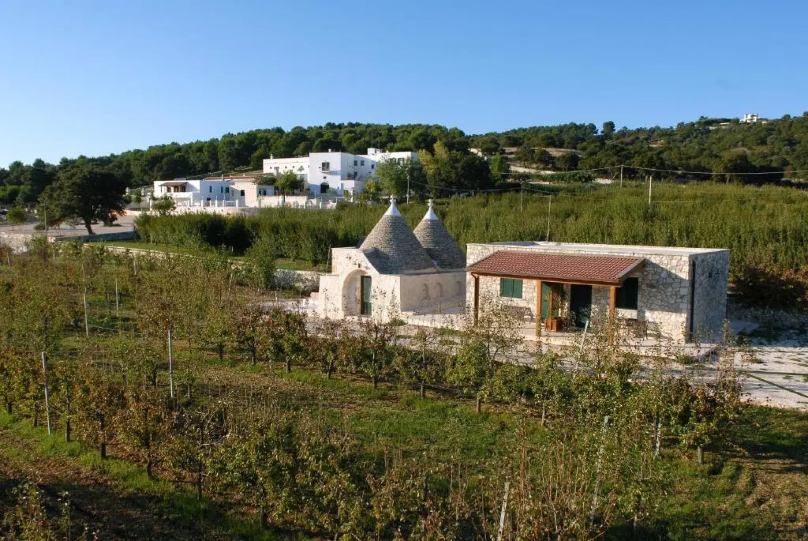 Masseria Torricella
