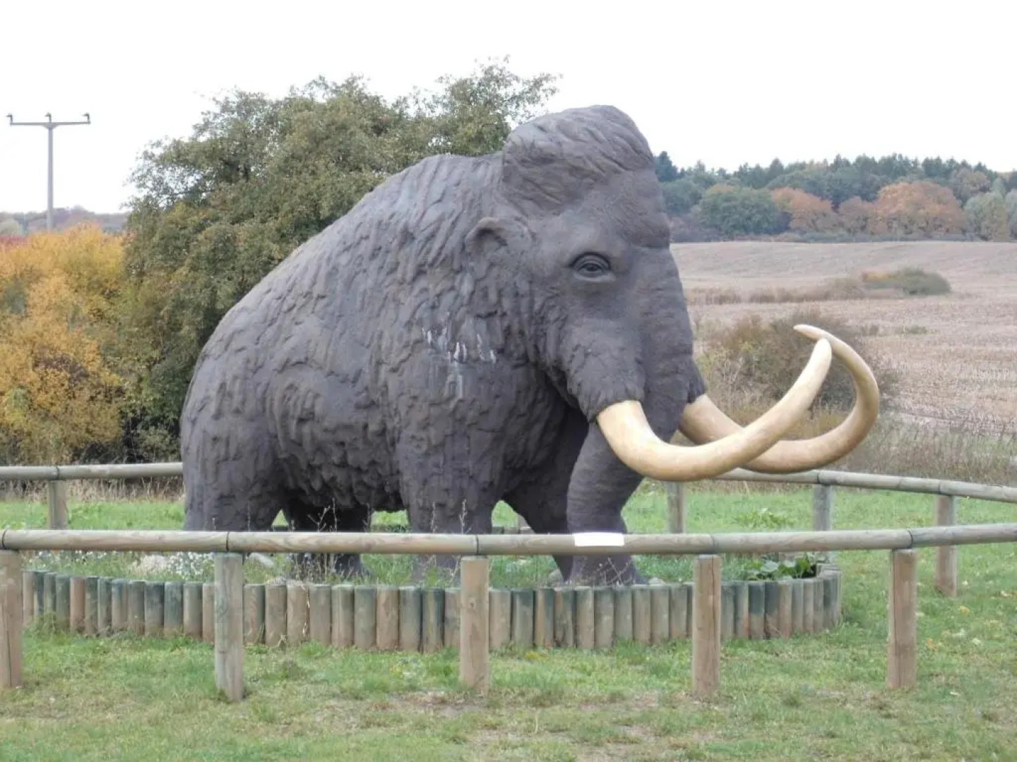 Ferienwohnung Wroblewsky