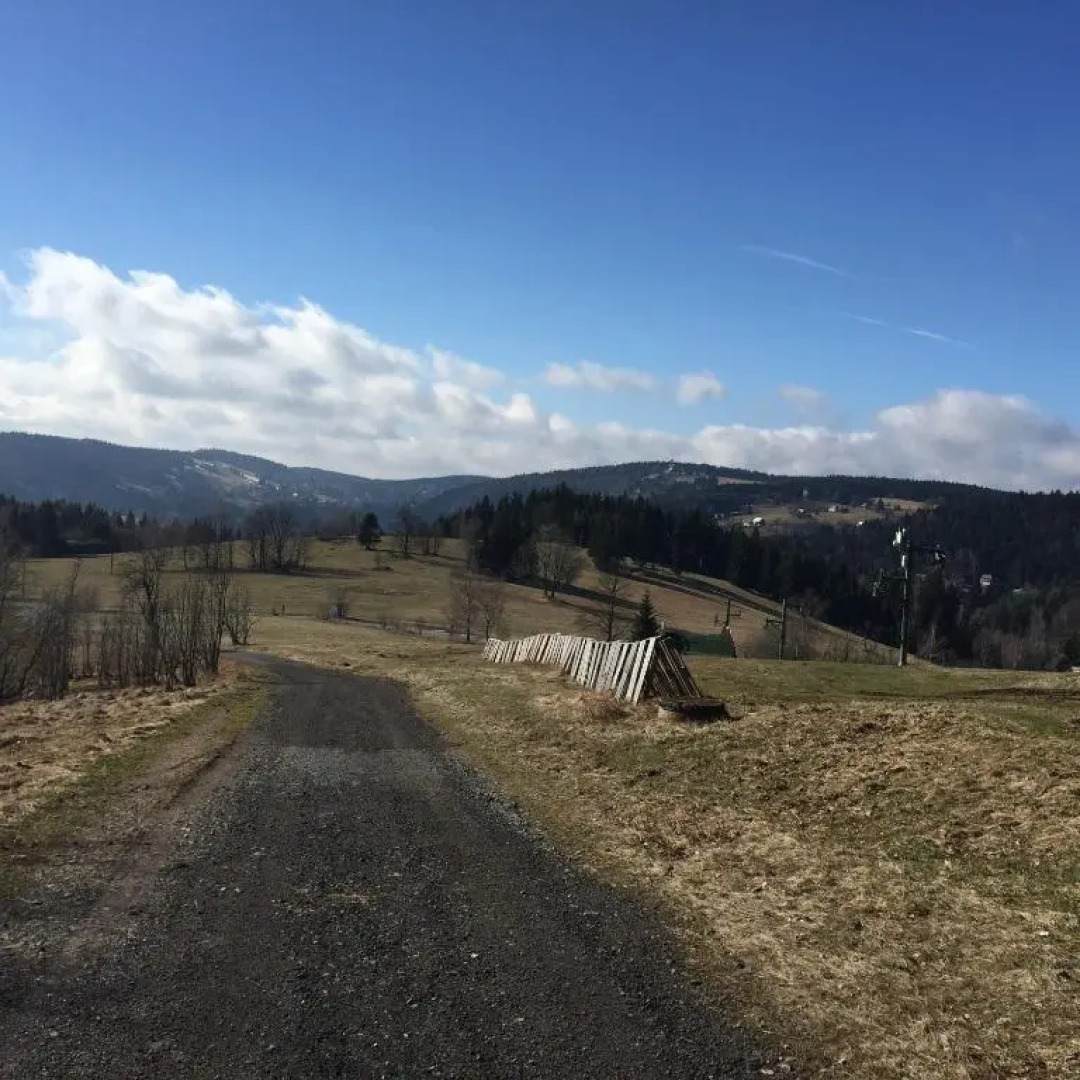 Apartments Dřevona II