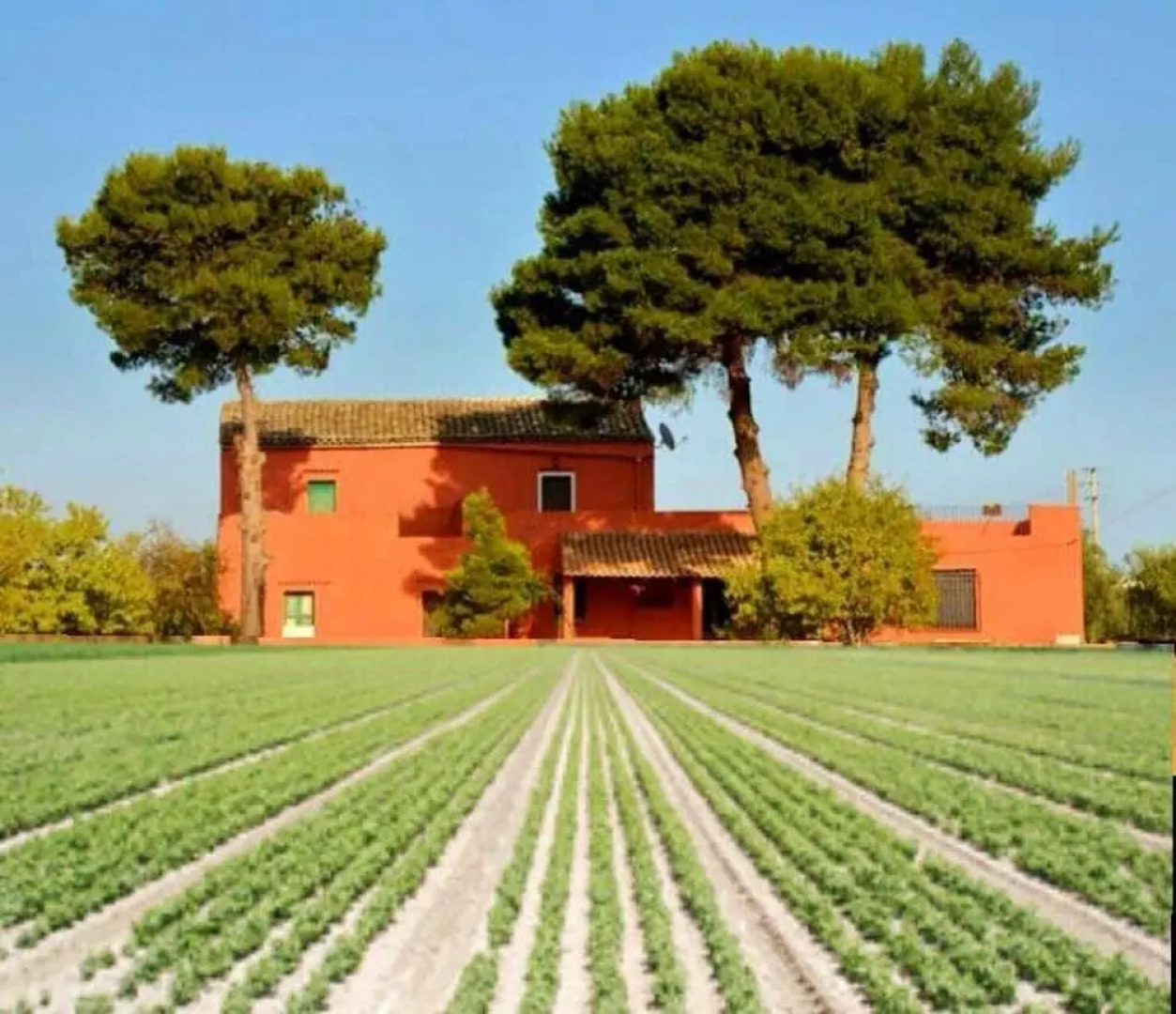 House With 4 Bedrooms in Marinella di Selinunte, With Furnished Terrac