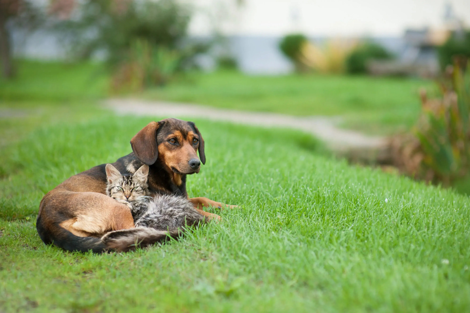 Country house Tunjina kuca