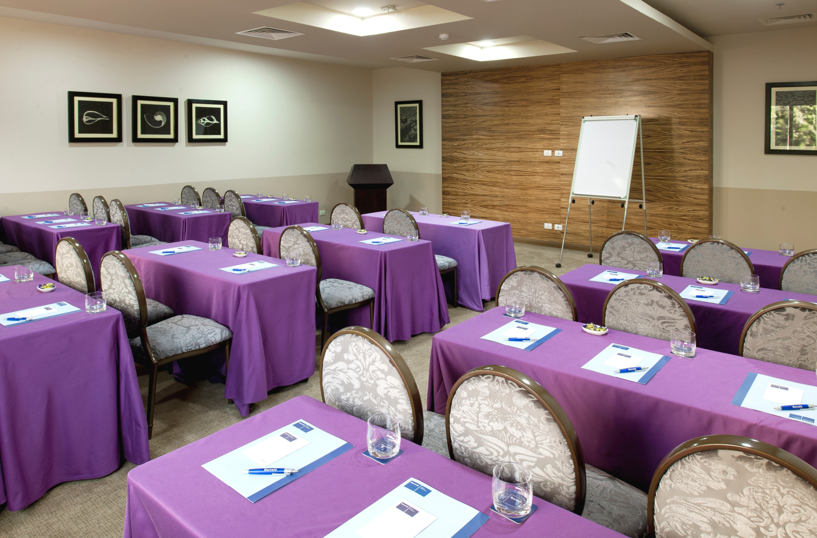 Отель Barcelo Cairo Pyramids