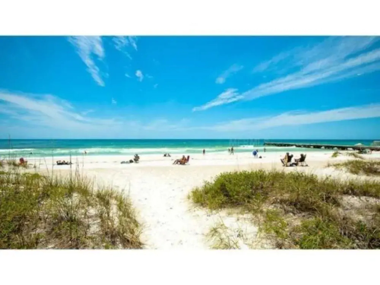 Hibiscus by RedAwning