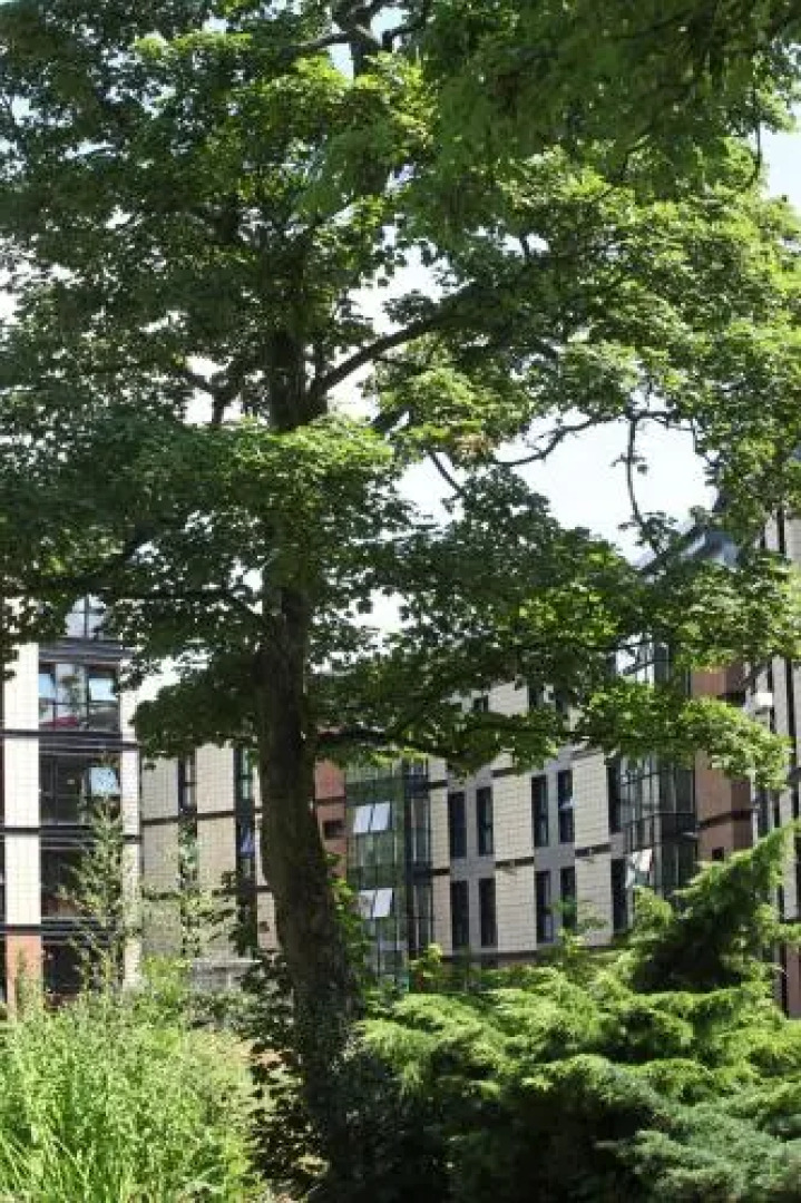 The Endcliffe Village - Part of the University of Sheffield