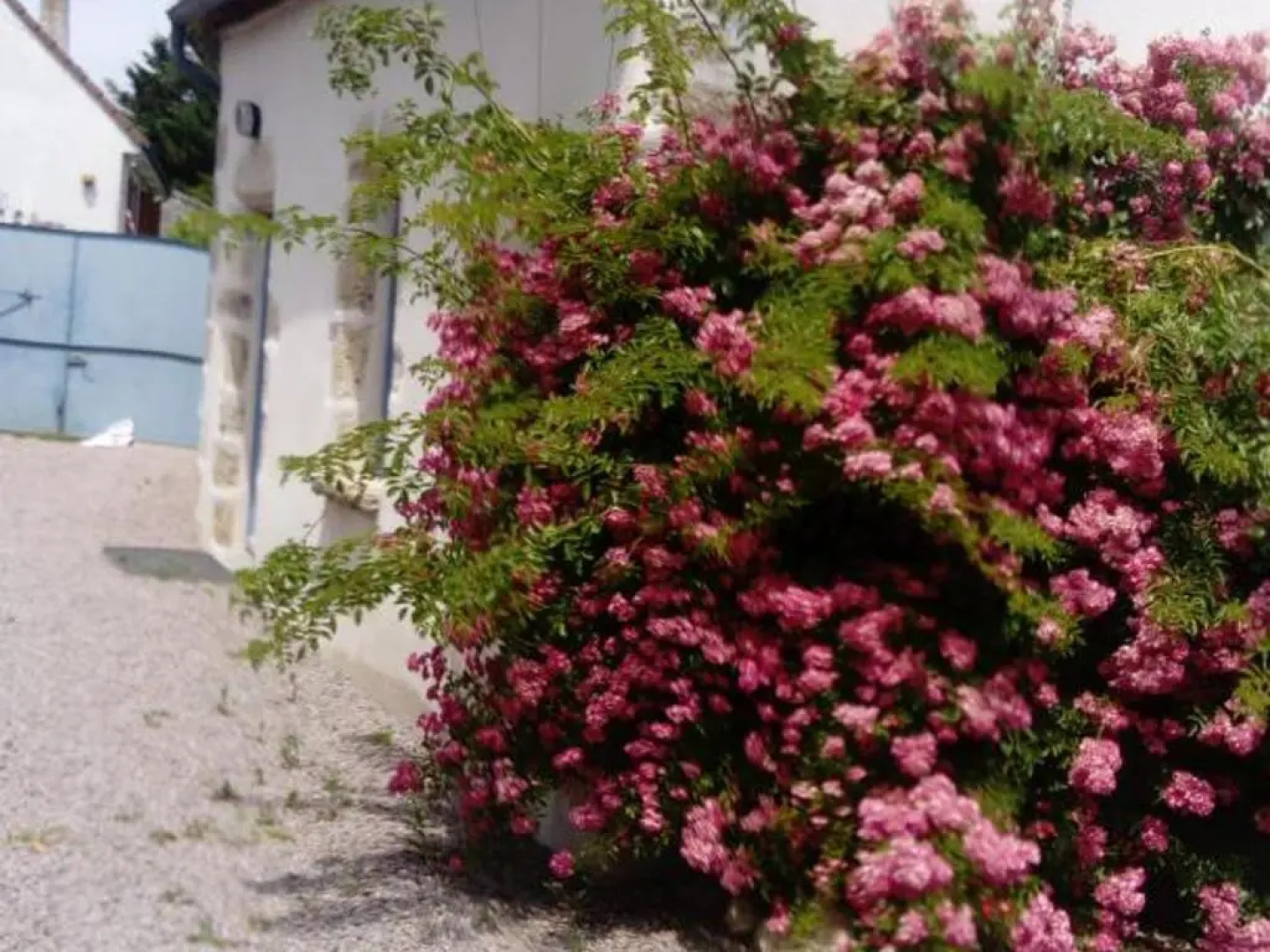 Gîte Louchy-Montfand, 3 pièces, 4 personnes - FR-1-489-178